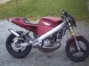 derbi-gpr-annee-2000-rouge-tres-propre Tours ( 37000 ) - Indre et Loire