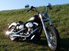 harley-street-bob Tours ( 37000 ) - Indre et Loire